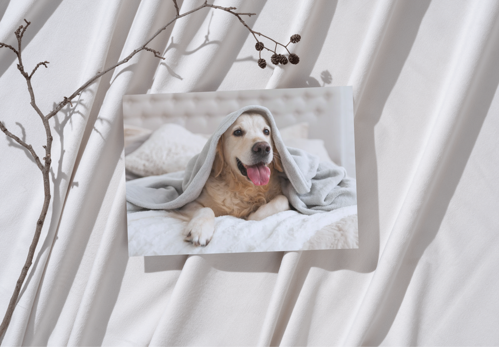 Custom A4 Photo Print on Aluminium Panel - Personalised Metal Wall Art